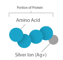 silver_bound_with_protein.png silver_bound_with_protein.png