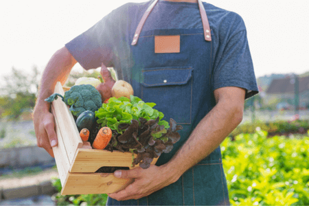 Organic Foods: What You Need to Know 